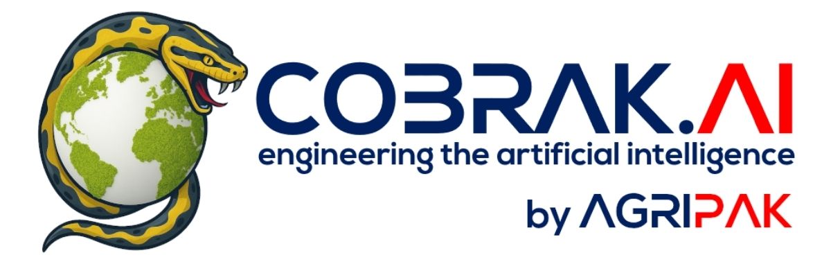 COBRAKAI Logo